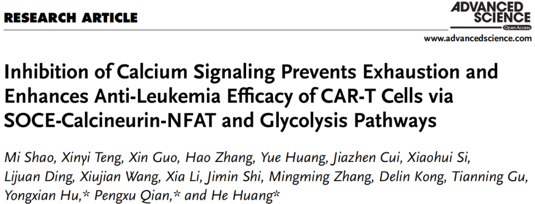 通过SOCE-Calcineurin-NFAT和糖酵解途径抑制钙信号传导可防止CAR-T细胞衰竭并增强抗白血病功