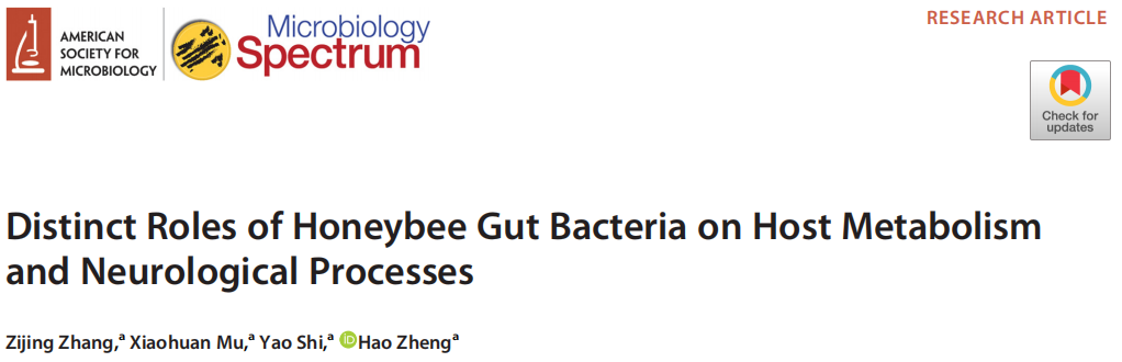 Distinct Roles of Honeybee Gut Bacteria on Host Metabolism and Neurological Processes