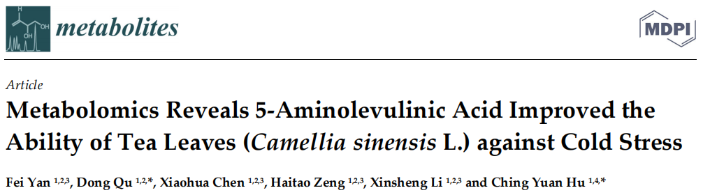 Metabolomics Reveals 5‐Aminolevulinic Acid Improved the Ability of Tea Leaves (Camellia sinensis L.) against Cold Stress