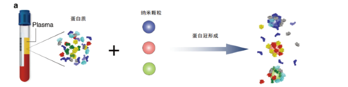 (图2)