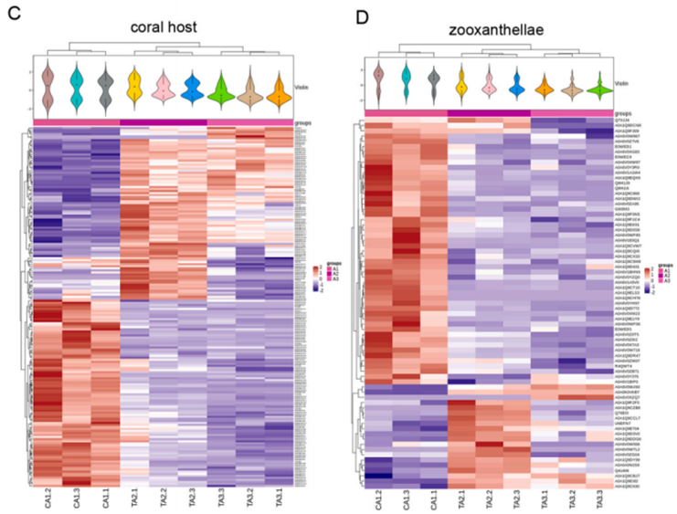 DIA Proteomics(图3)