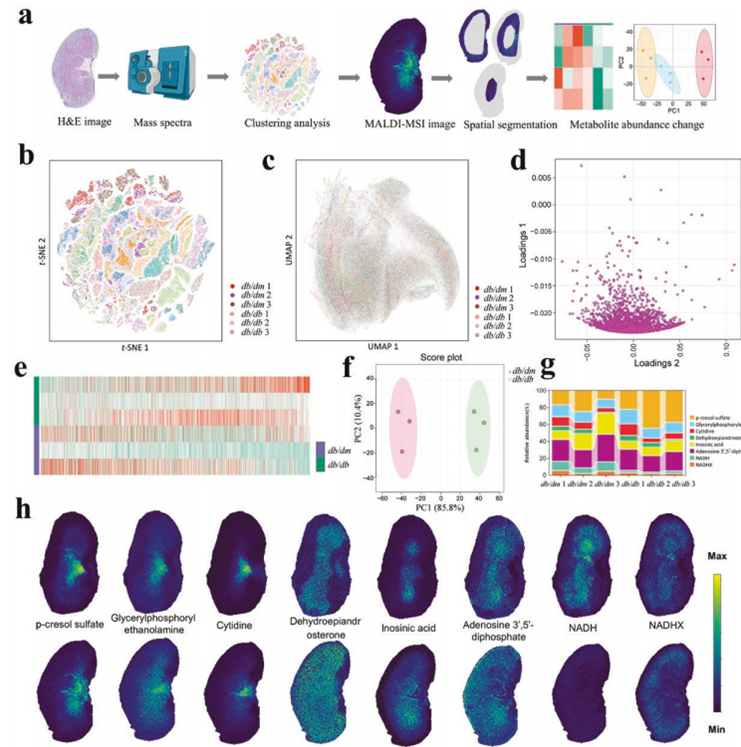 Spatial Metabolomics(图2)