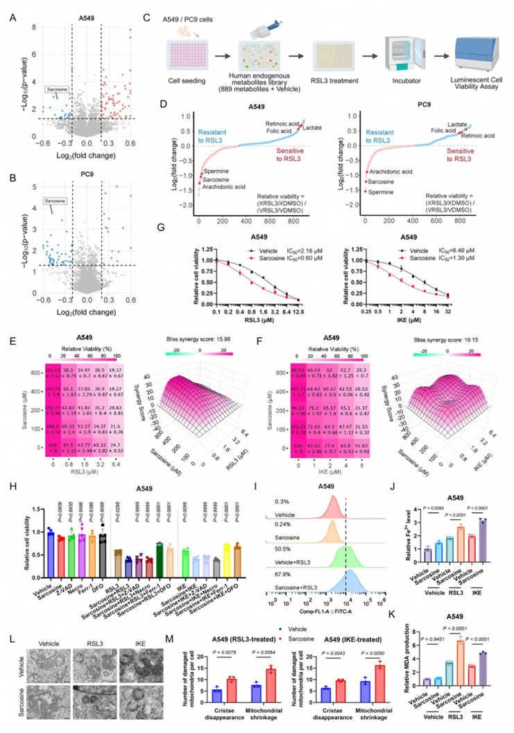 Untarget isotope tracing(图3) Untarget isotope tracing(图3)
