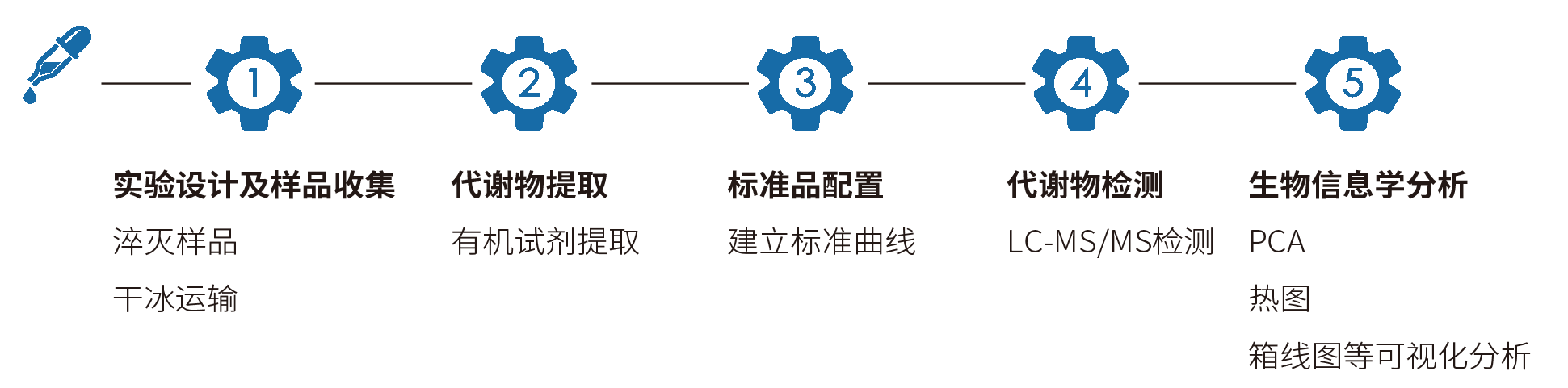 氧化三甲胺及相关代谢物技术路线