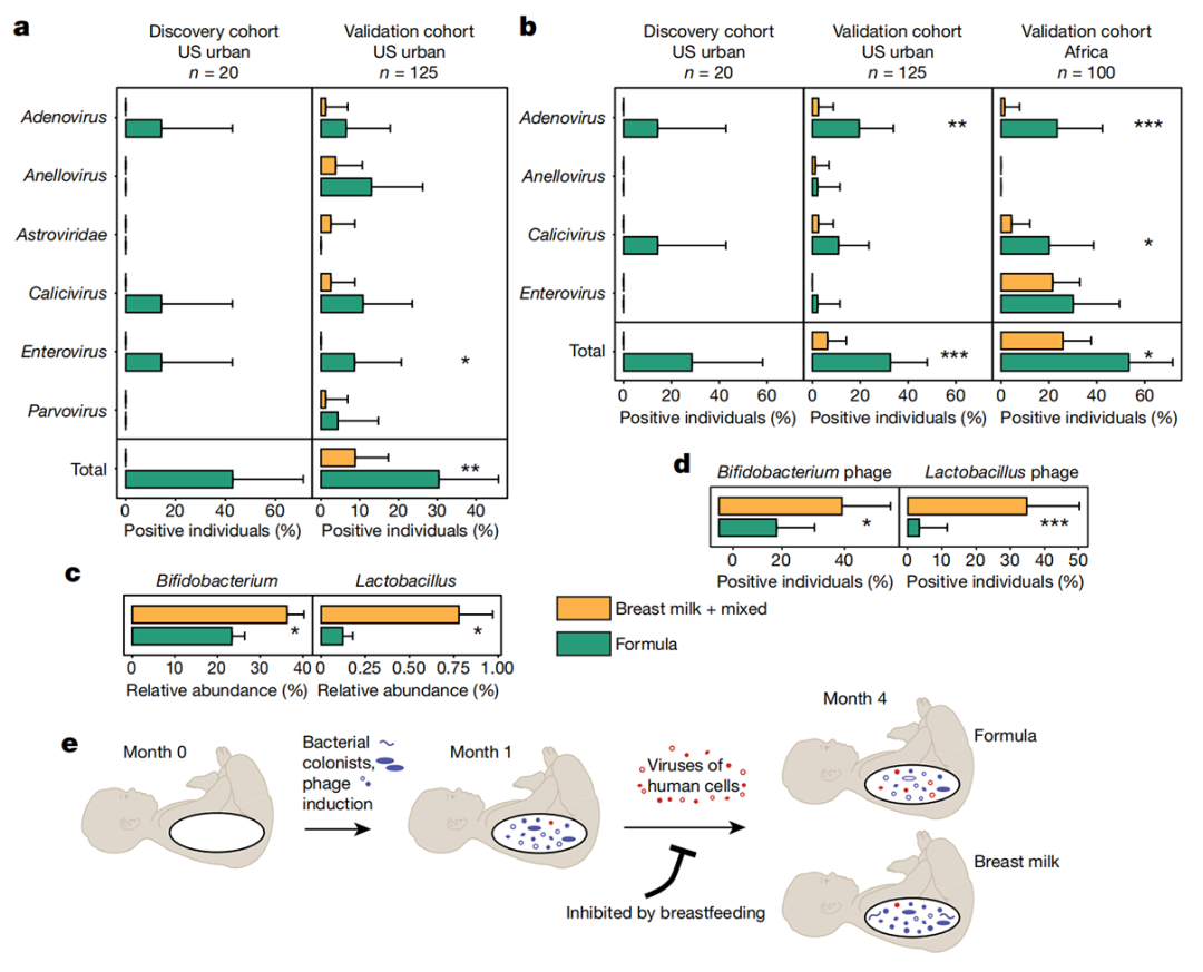 高分文献分享 | 婴儿肠道病毒定植方式和喂养方式对病毒定植影响研究(图4)