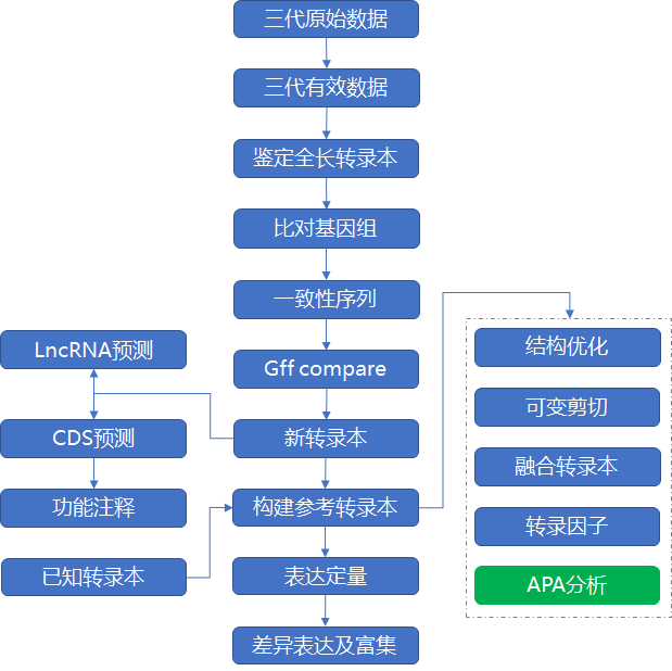 图2. 全长转录组分析流程