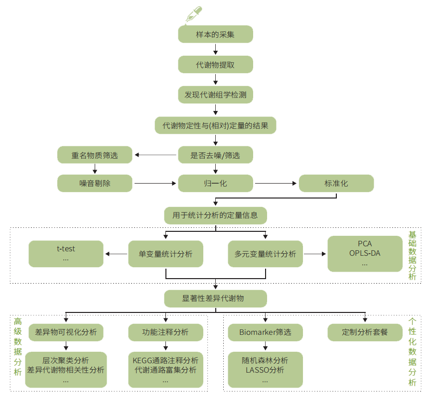 技术路线