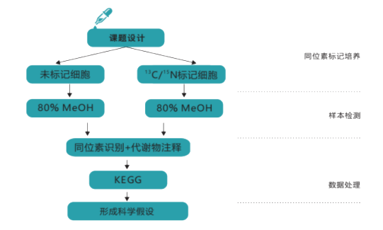 技术路线