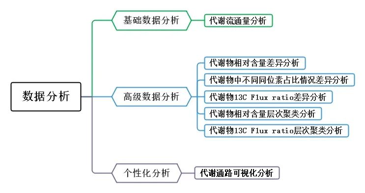 分析内容全面升级