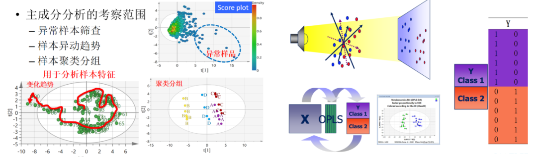 PCA主成分分析、OPLSDA.png