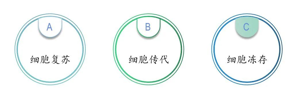 百趣代谢组学实验室分享之萌新篇——细胞培养避坑指南(图2)