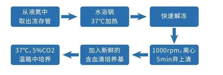 百趣代谢组学实验室分享之萌新篇——细胞培养避坑指南(图3)