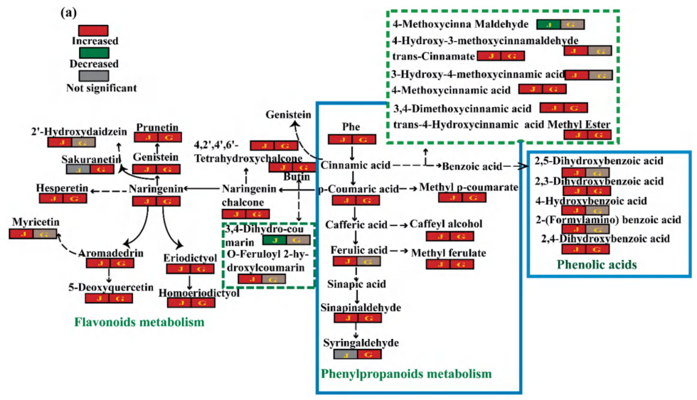 科研必备 | 植物阿趣广靶®代谢组学(图9)