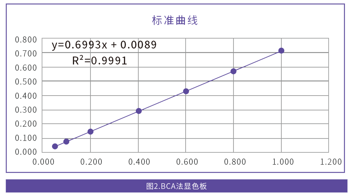 BCA法总蛋白含量检测服务(图2)