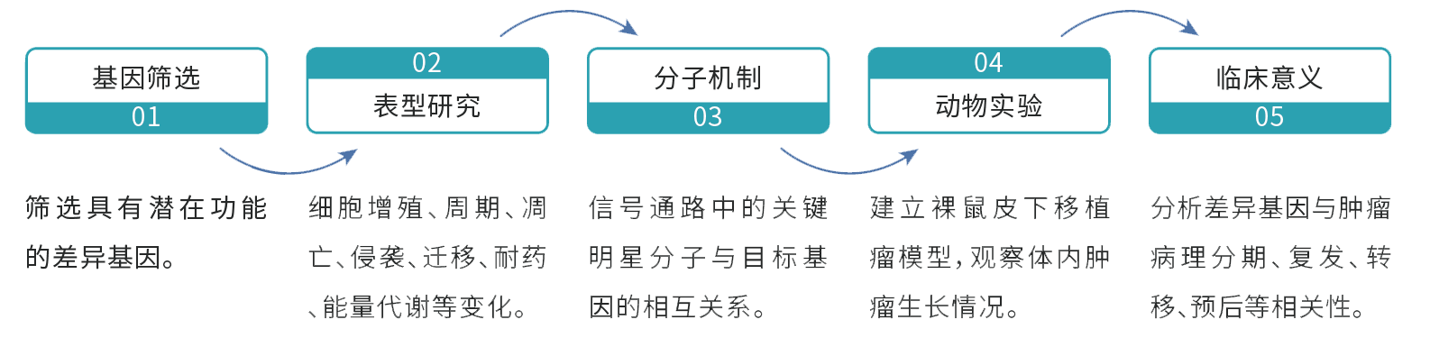 研究流程