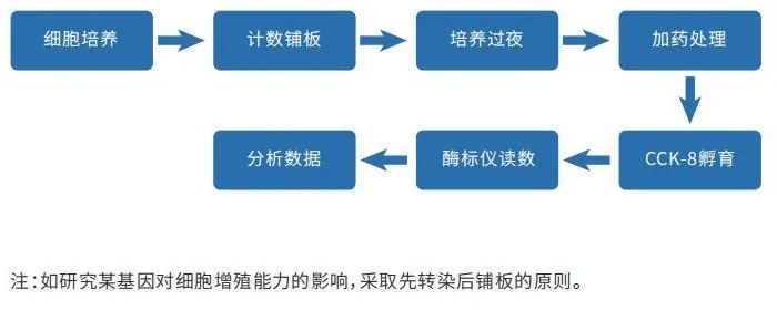 助力组学研究系列第一期 | 细胞增殖检测(图3)