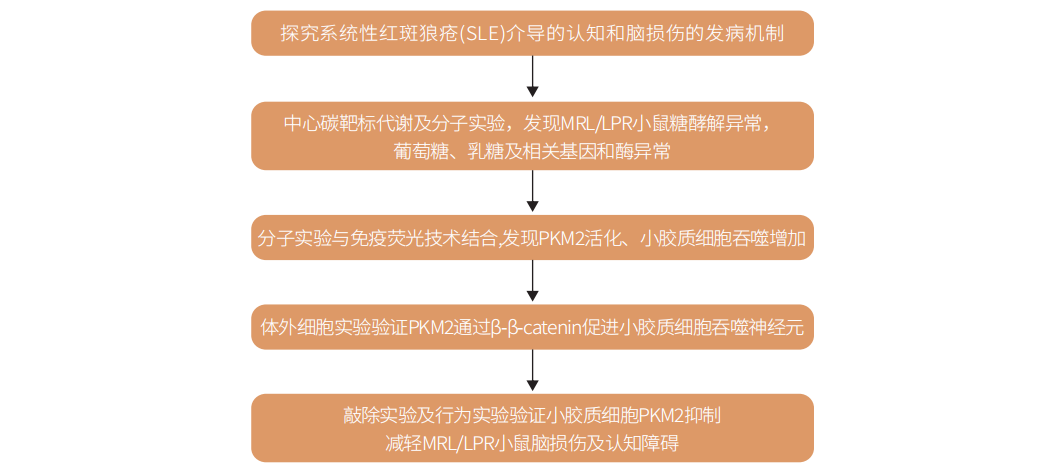 技术介绍 | 中心碳代谢高通量靶标定量(图4)