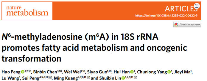 项目文章（IF 19.865）| 非靶标代谢流助力揭示18SrRNA中m6A控制肝癌机制！(图1)