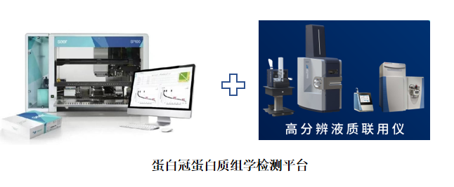 蛋白冠.png