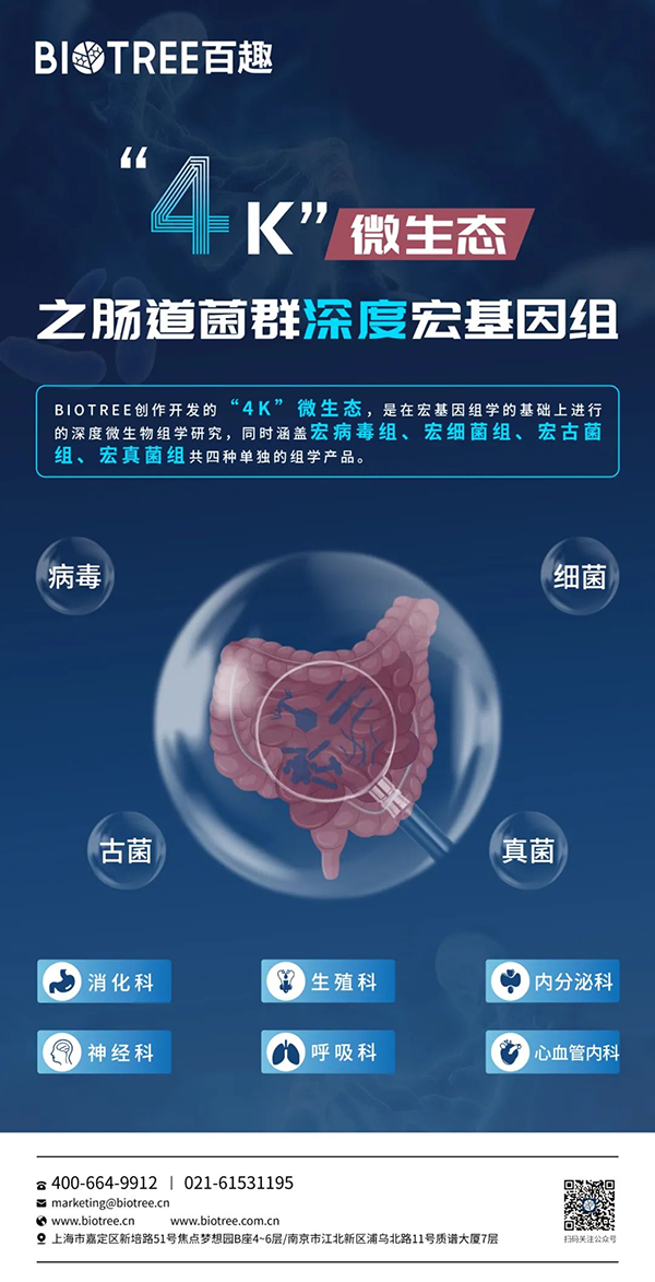 海报.png