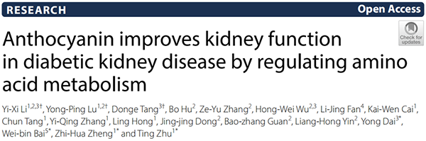 项目文章 | “蛋白质组+代谢组”联合揭示花青素通过调节氨基酸代谢改善糖尿病肾病的肾功能(图1)