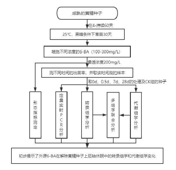 技术路线.png