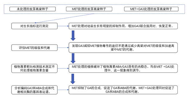 研究思路.png