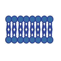 4D脂质组学