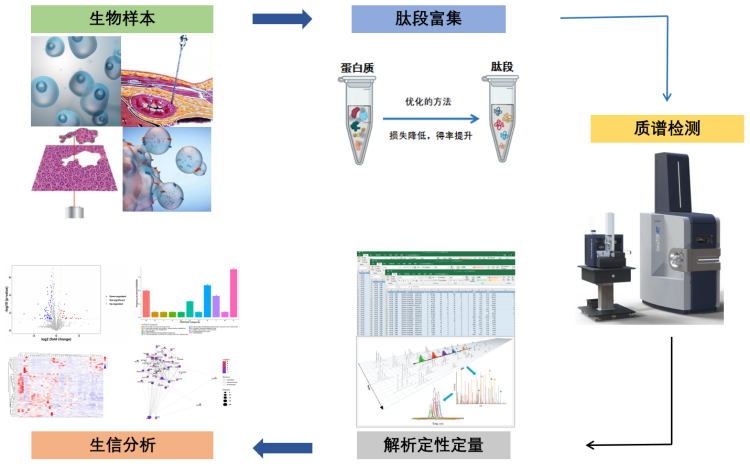 微量蛋白质组(图1)