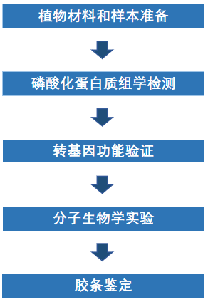 蛋白质修饰大揭秘—磷酸化修饰蛋白质组学(图11)