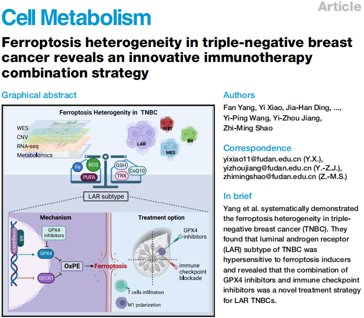 干货分享 | 直击研究热点，一文搞懂铁死亡(Ferroptosis)(图5)