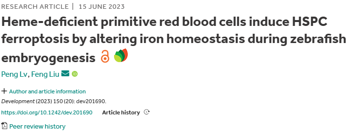 干货分享 | 直击研究热点，一文搞懂铁死亡(Ferroptosis)(图7)