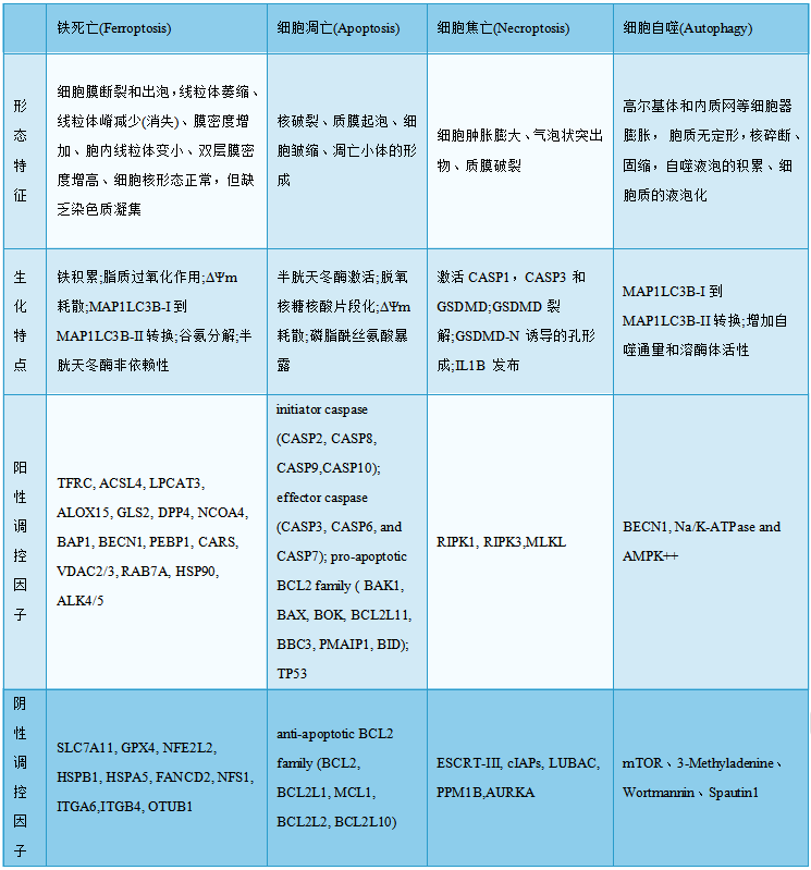 干货分享 | 直击研究热点，一文搞懂铁死亡(Ferroptosis)(图2)