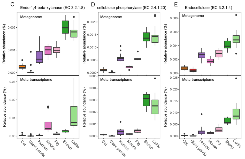 文献分享(IF=15.5) | 大熊猫独特的肠道微生物群与蛋白质代谢：揭示竹食适应的机制(图5)