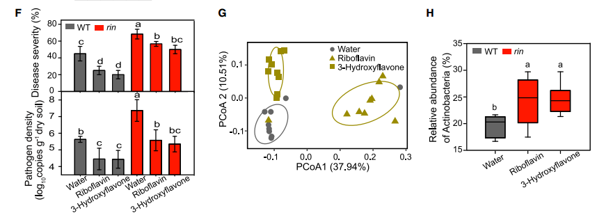项目文章(IF=27.5) | RIN基因新发现：通过根际分泌物塑造抑菌微生态，提升植物免疫力(图6)