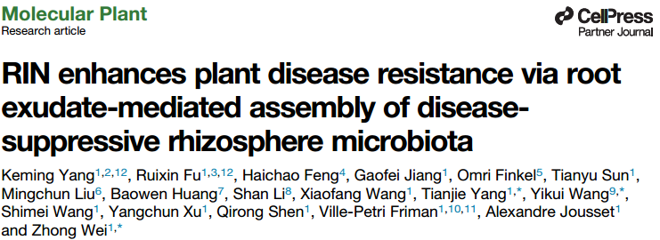 项目文章(IF=27.5) | RIN基因新发现：通过根际分泌物塑造抑菌微生态，提升植物免疫力(图1)