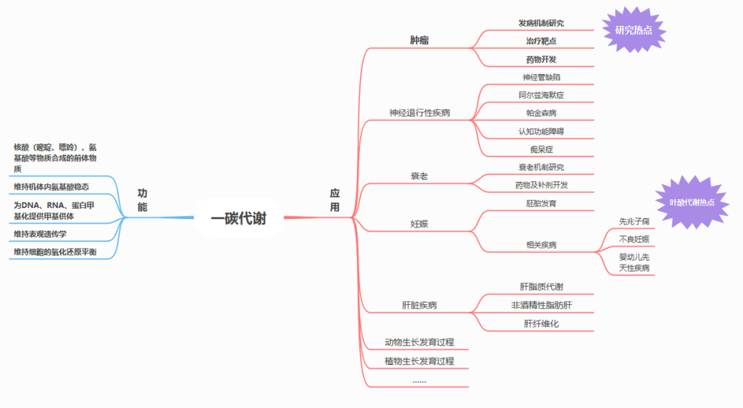 Cell揭秘，发现准妈妈补充叶酸的“真相”(图4)