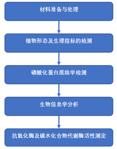 J Hazard Mater(IF=13.6) | 蛋白质磷酸化：大麦应对纳米塑料与氧化锌纳米粒子的关键调控因子(图2)