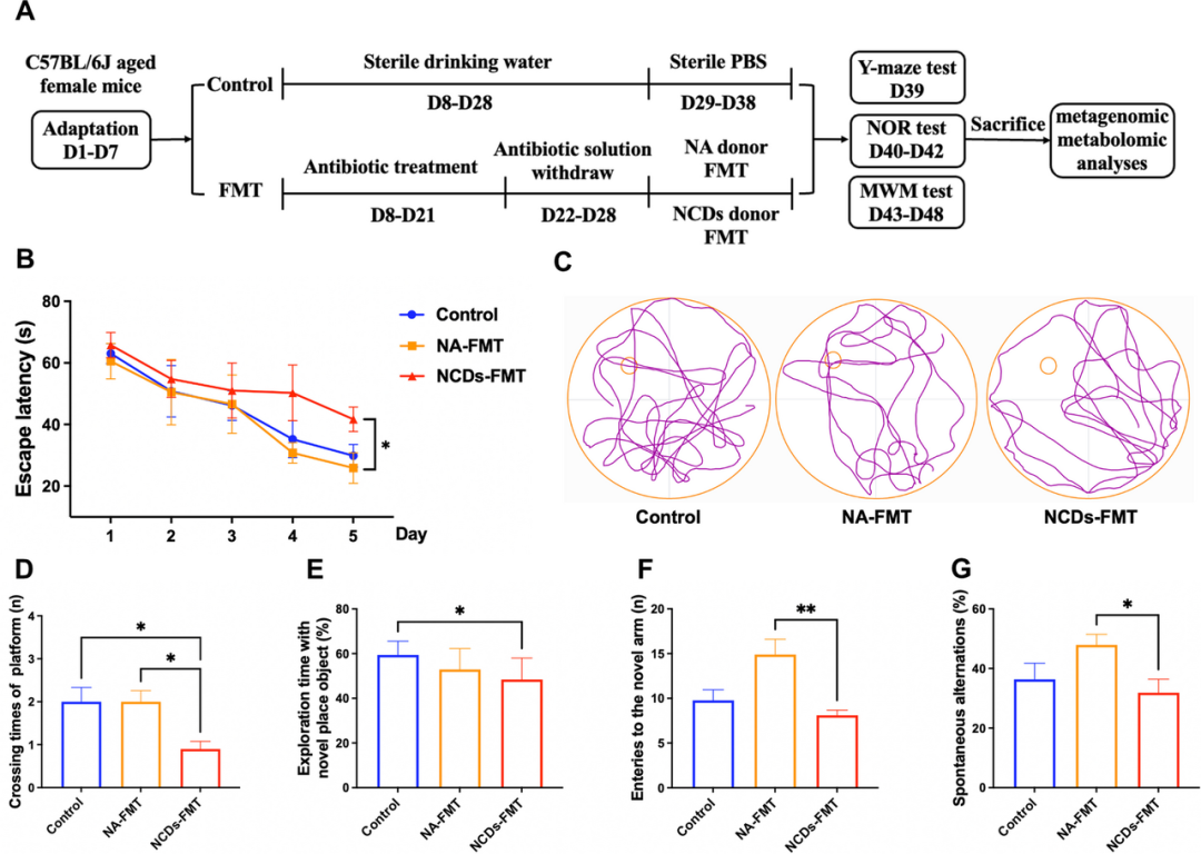 Microbiome(IF=16.8) | 多组学与脑电图数据融合：开启神经认知障碍精准诊断的新篇章(图11)