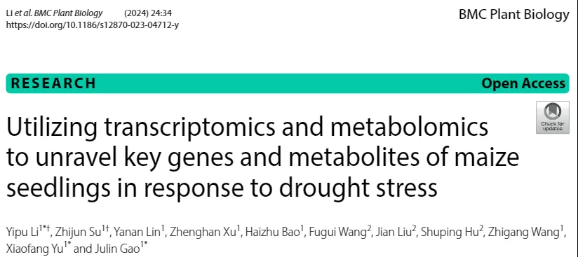BMC Plant Biology | 转录组学+代谢组学揭示玉米幼苗响应干旱的关键基因和代谢产物(图1)