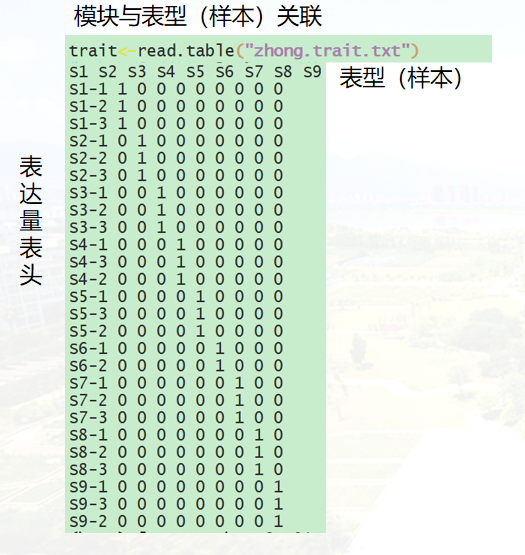 组学分析 | WGCNA+Cytoscape：揭示基因网络的深层联系(图4)