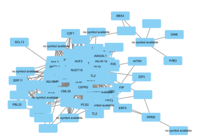 组学分析 | WGCNA+Cytoscape：揭示基因网络的深层联系(图13)