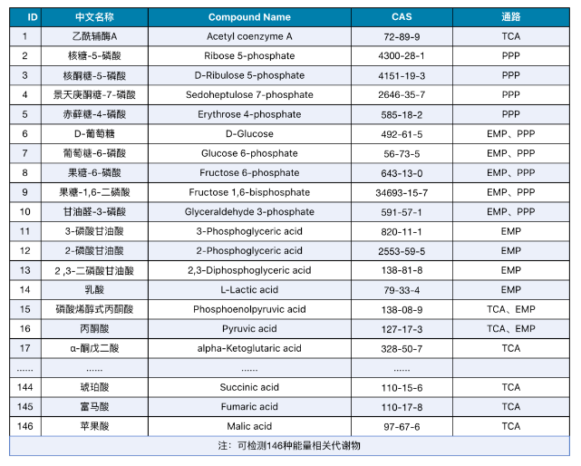 新品发布｜AQ能量代谢全新升级——解能量通路，溯生命之源(图3)