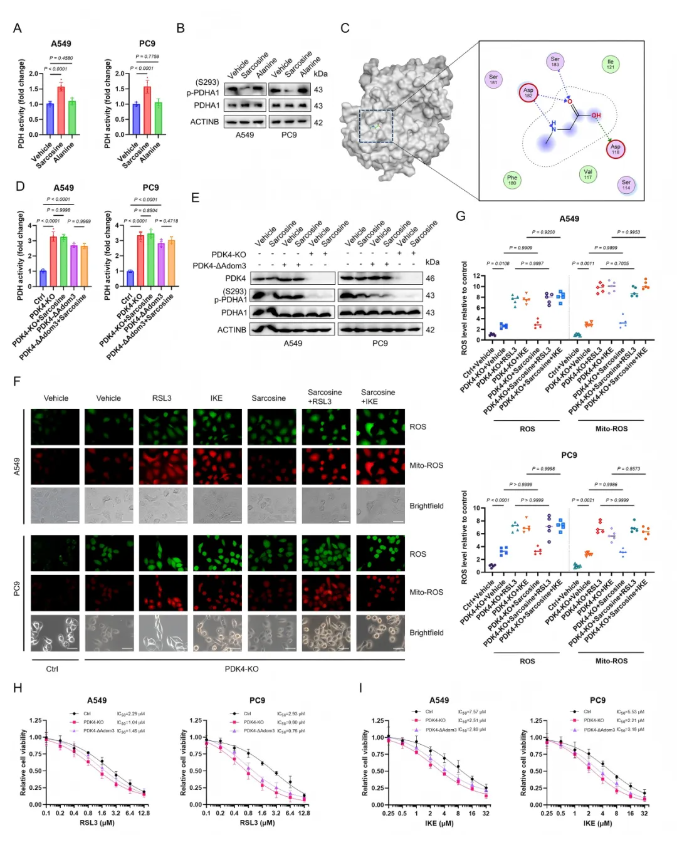 Exp Hematol Oncol.｜复旦大学附属中山医院詹成团队揭示：C(图4)