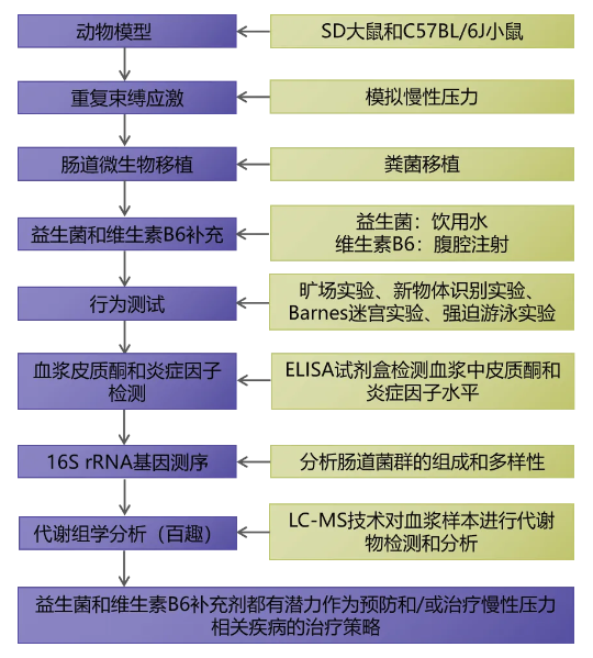 IF=12.2！湘雅三医院童建斌教授团队揭示肠-脑轴新机制：肠道菌群紊乱通过维生素B6代谢驱动慢性应激行为异常(图2)