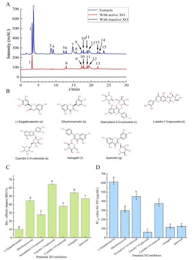 Arabian J Chem.｜海南大学汪瑞敏教授研究团队成果：鸡矢藤叶XO抑制剂筛选获突破，天然药物开发迎来新曙光！(图6)