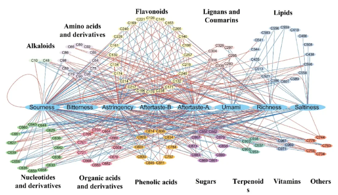Food Bioscience (IF=5.9)｜海南大学张伟敏团队新成果！11种关键成分如何影响风味，为茶业生产提供科学依据！(图7)