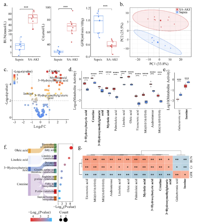 BMC Medicine(IF=8.3)｜哈医大一院研究团队打破诊断困局！多组学联手发现SA-AKI早期预警信号(图4)