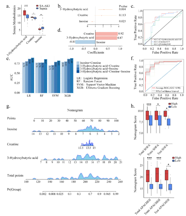 BMC Medicine(IF=8.3)｜哈医大一院研究团队打破诊断困局！多组学联手发现SA-AKI早期预警信号(图8)