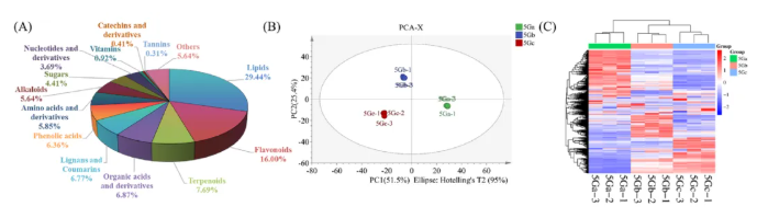 Food Bioscience (IF=5.9)｜海南大学张伟敏团队新成果！11种关键成分如何影响风味，为茶业生产提供科学依据！(图4)